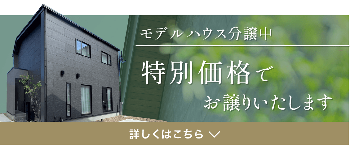 新田モデルハウス分譲中 特別価格でお譲りいたします 詳しくはこちら